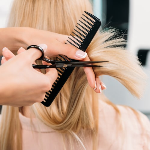 Women's Haircut